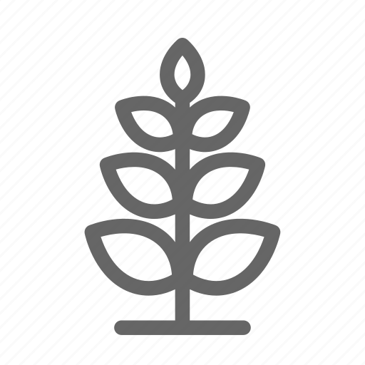 Plant, tree, leaf, nature, summer icon - Download on Iconfinder