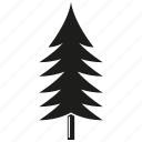 christmas tree, forset, growth, nature, pine, plant, tree 