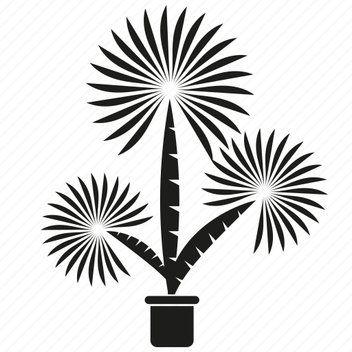 Botany, forset, growth, nature, palm, plant, tree icon - Download on Iconfinder