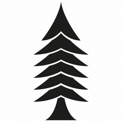 Christmas tree, forset, growth, nature, pine, plant, tree icon - Download on Iconfinder
