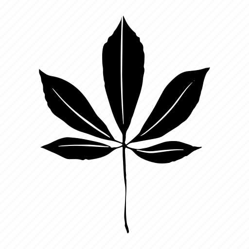 Buckeye, leaf, tree, nature, plant, forest, garden icon - Download on Iconfinder