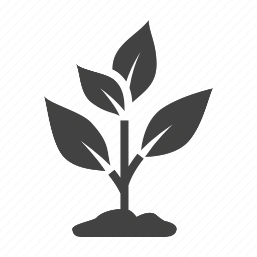 Garden, growing, plant, seedling icon - Download on Iconfinder