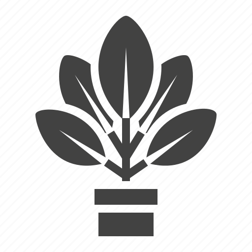 Growing, home, houseplant, patio, plant, pot icon - Download on Iconfinder