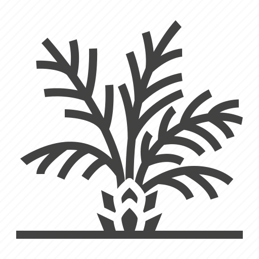 Palm, plant, tree icon - Download on Iconfinder