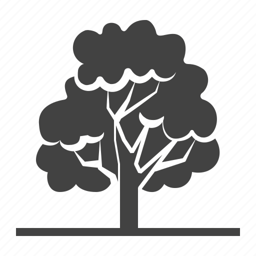 Deciduous, forest, oak, plant, tree icon - Download on Iconfinder