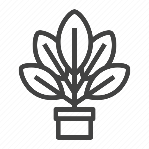 Growing, home, houseplant, patio, plant, pot icon - Download on Iconfinder