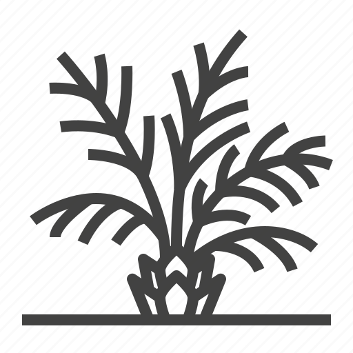 Palm, plant, tree icon - Download on Iconfinder