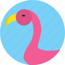 animal, bird, creature, flamingo, poultry, zoo