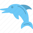 animal, dolphin, ecology, ocean, sea