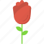 date, flower, gift, love, rose, thoughtful 