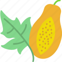 leaf, papaya, food, fruit, fruits, healthy