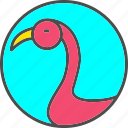animal, bird, creature, flamingo, poultry, zoo