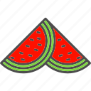 fruit, tropical, watermelon, slice, 1