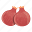 turkish, pomegranate 