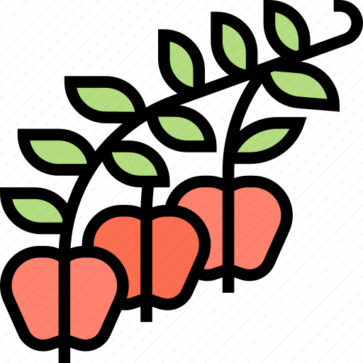 Apple, berry, shrub, plant, forest icon - Download on Iconfinder