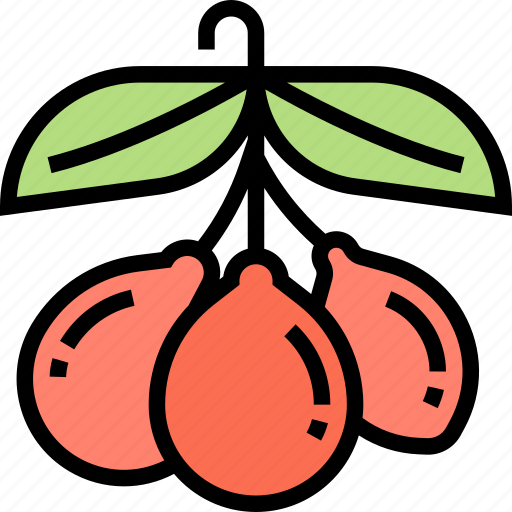 Goji, berry, wolfberry, fruit, sweet icon - Download on Iconfinder