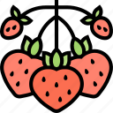 strawberry, fruit, fresh, sweet, vitamin