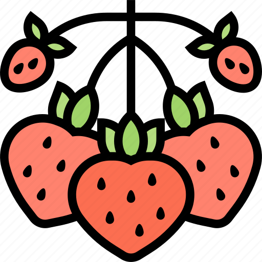Strawberry, fruit, fresh, sweet, vitamin icon - Download on Iconfinder