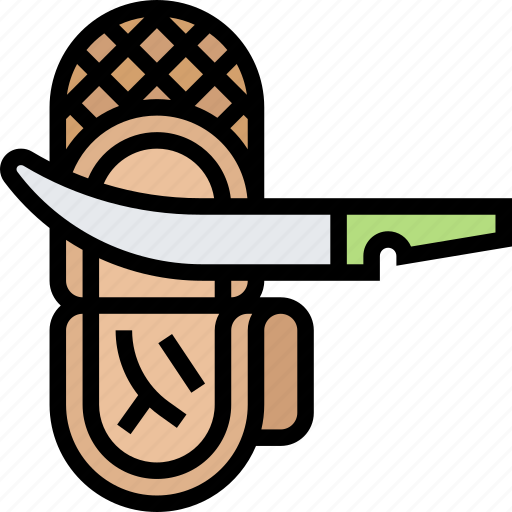 Fillet, knife, food, fresh, gourmet icon - Download on Iconfinder