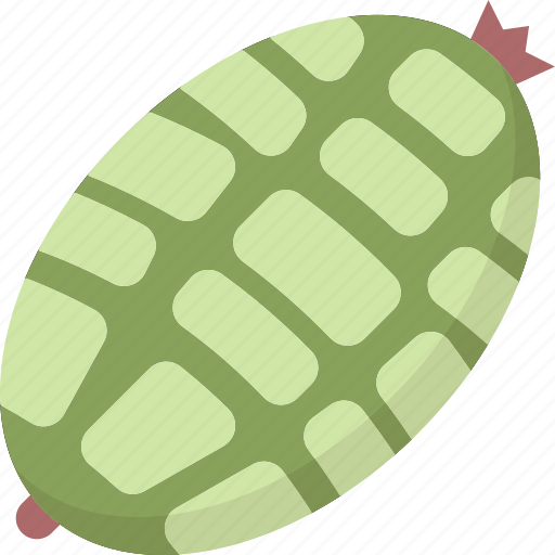 Cucamelon, cucumber, melon, plant, tropical icon - Download on Iconfinder