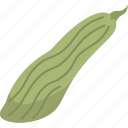 cucumber, armenian, vegetable, long, plant