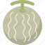 melon, yubari, king, cantaloupe, cultivar 