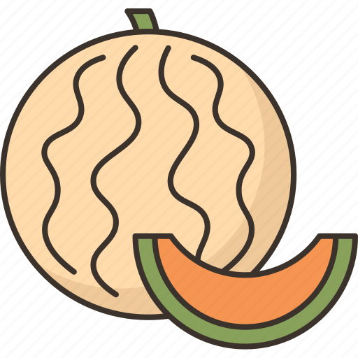 Cantaloupe, fruit, dessert, sweet, fresh icon - Download on Iconfinder