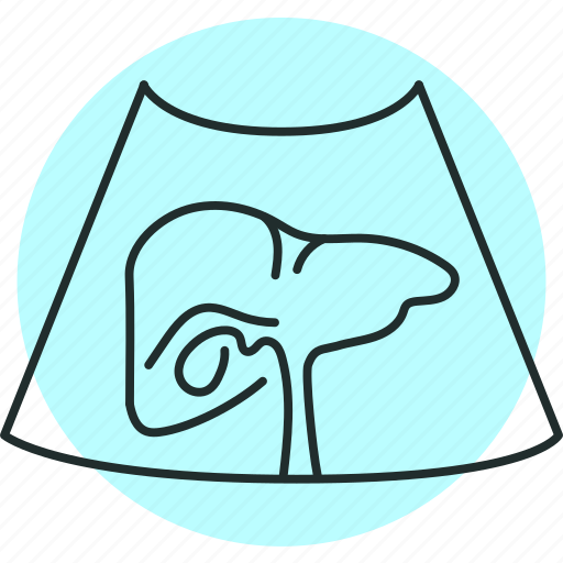 Ultrasound, liver, gastroenterology icon - Download on Iconfinder