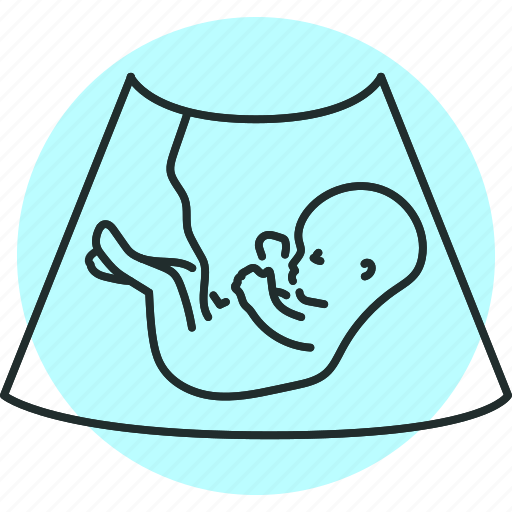 Ultrasound, embryo, uterus, pregnancy icon - Download on Iconfinder