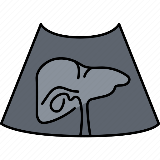 Ultrasound, liver, gastroenterology icon - Download on Iconfinder