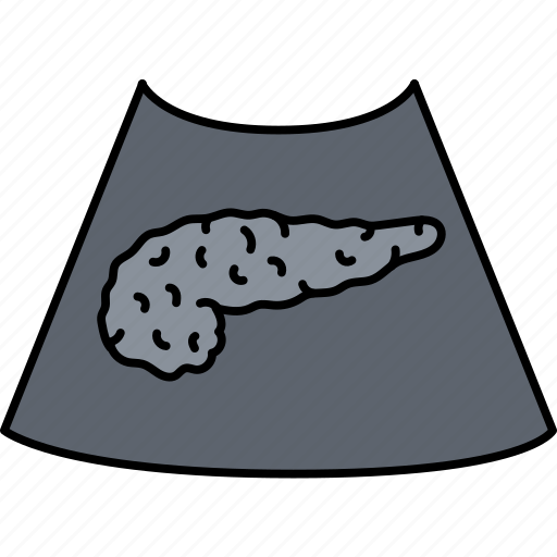 Ultrasound, pancreas, gastroenterology icon - Download on Iconfinder