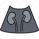 kidneys, ultrasound, urology