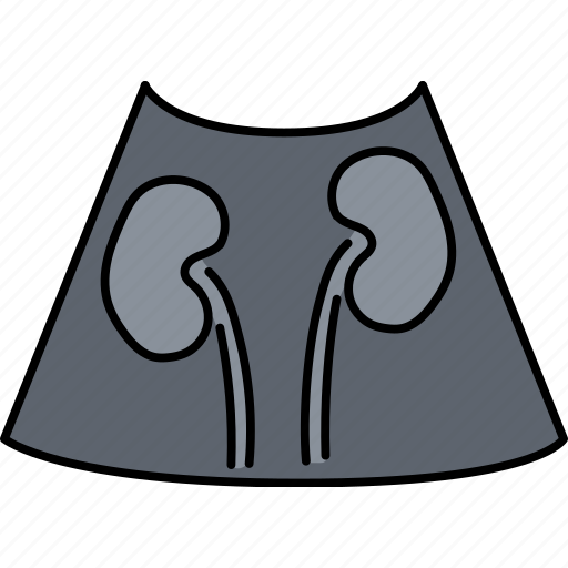 Kidneys, ultrasound, urology icon - Download on Iconfinder