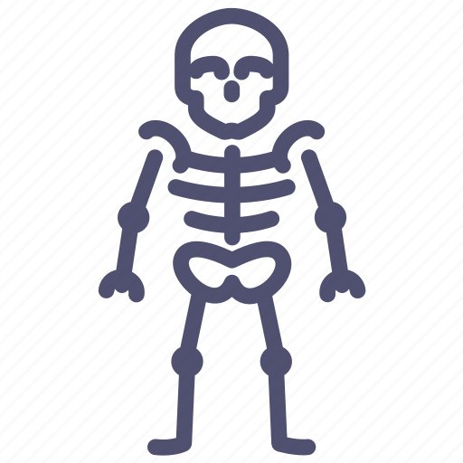 Anatomy, bones, medical, medicine, skeleton, skull icon - Download on Iconfinder