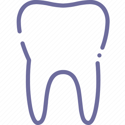 Anatomy, healthy, teeth, tooth icon - Download on Iconfinder
