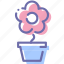 flower, nature, pot, present 