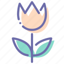flower, nature, present, tulip