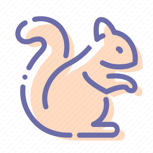 Animal, rodent, sciurus, squirrel icon - Download on Iconfinder