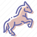 equine, horse, mare, stallion