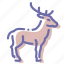 deer, elk, hoof, horns 