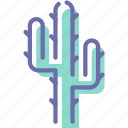 cactus, desert, nature, plant