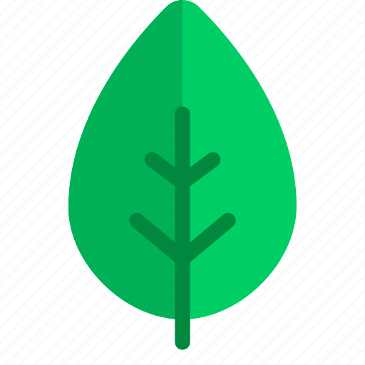 Green, leaf, nature, ecology icon - Download on Iconfinder