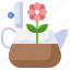 teapot, plant, pot, farming, gardening 