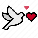 bird, fly, love