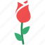 flower, i love you, love rose, love sign, rose, rose for love, rosebud 