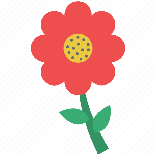 Daisy, flower, lovely flower, nature, spring flower icon - Download on Iconfinder