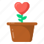 love growth, heart plant, romantic plant, valentine&#x27;s plant, love plant 