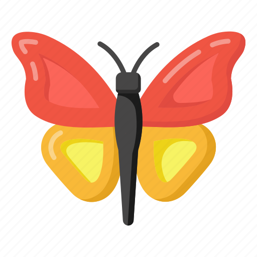 Moth, butterfly, bird, insect, specie icon - Download on Iconfinder