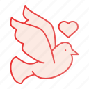 heart, love, pigeon, dove, flying, art, beauty, bird, decoration