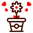 flowers, pot, heart, love, and, romance